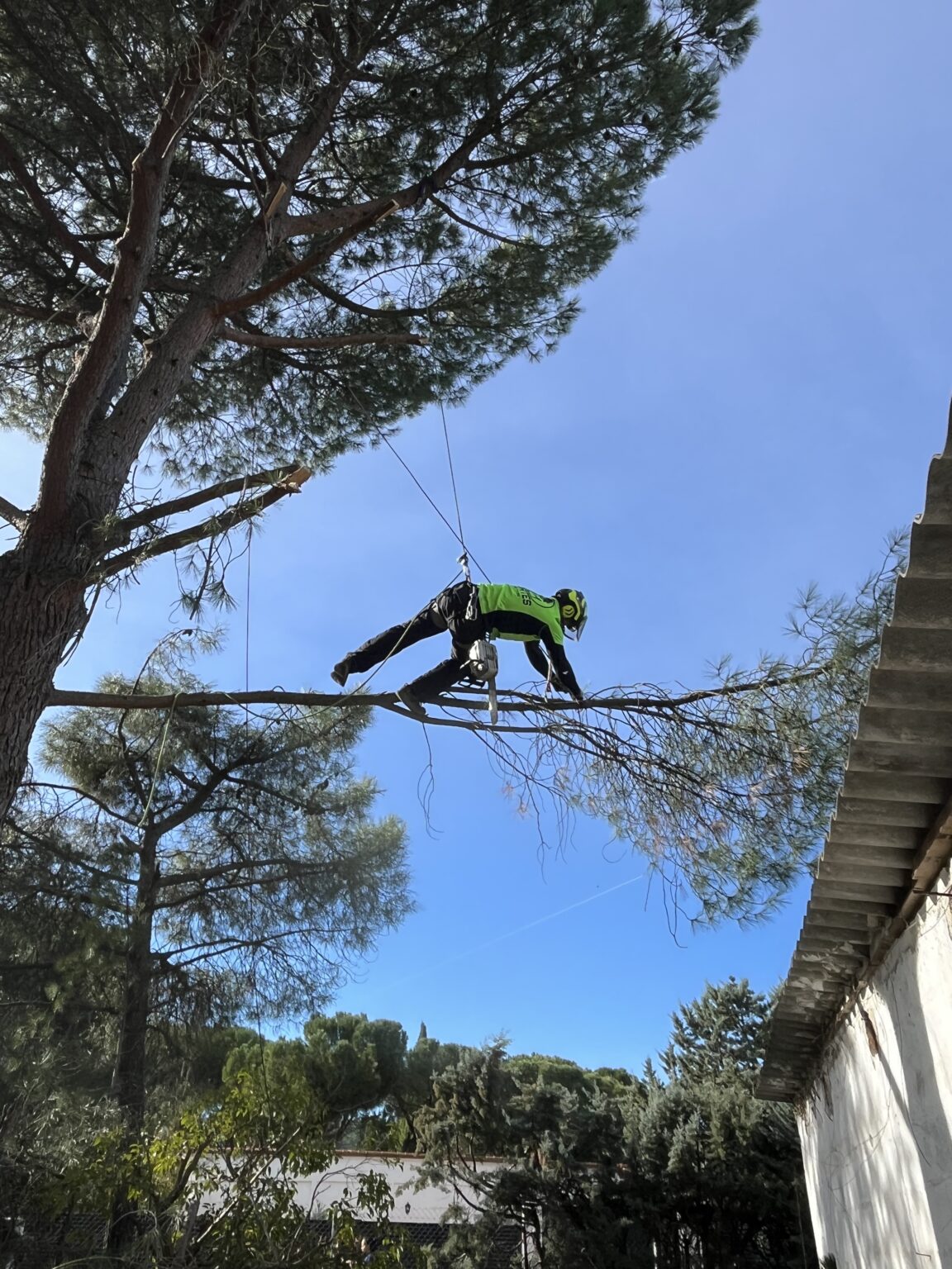 pino jesus colgado